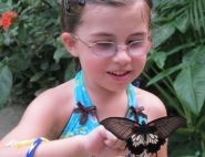 Ava and the Swallowtail by Karen Golding