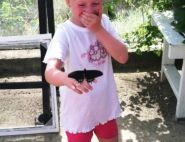 Olivia visits the Butterfly Farm, by Robert Ward