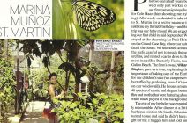 Press Clip: Butterfly Effect... From VOGUE June 2012